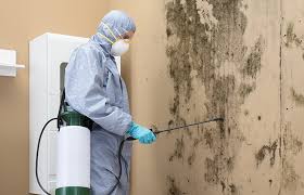 Best Asbestos and Lead Testing During Mold Inspection  in USA